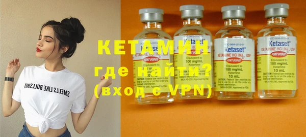 индика Волоколамск