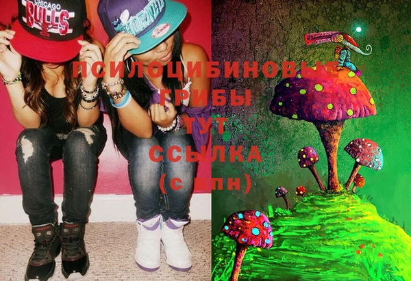 МДПВ Вязьма