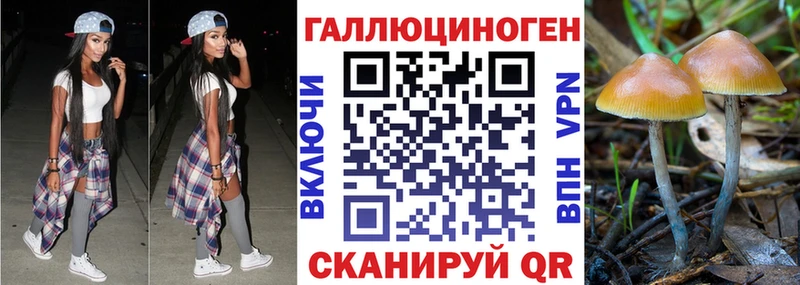 Псилоцибиновые грибы GOLDEN TEACHER  Верхняя Пышма 